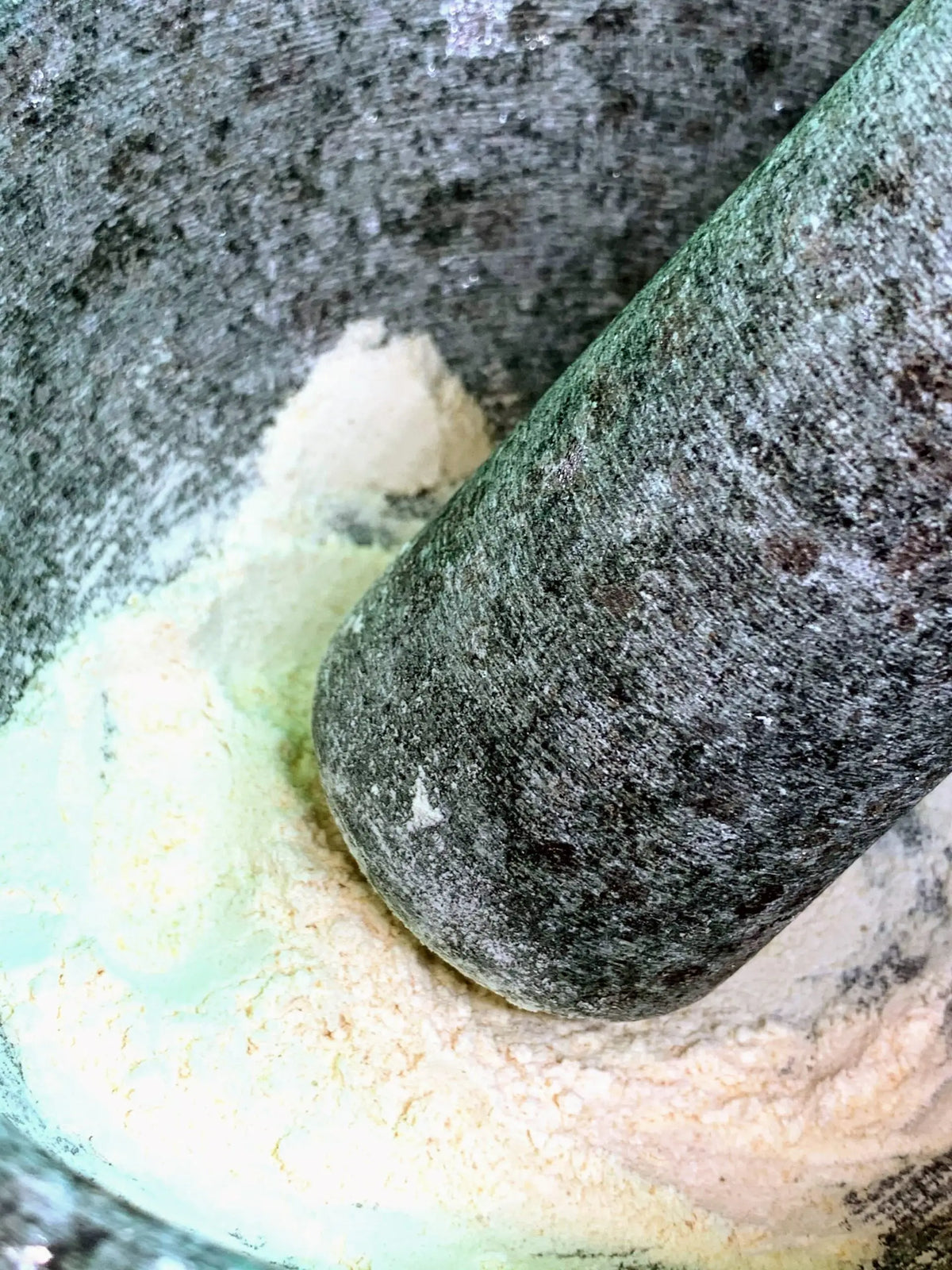 Fresh Garlic Powder - Spice